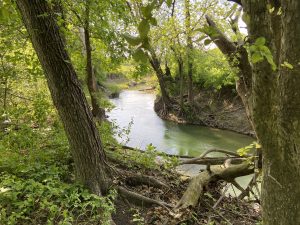 Rowlett Creek Preserve — Plano