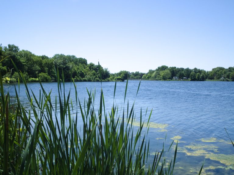 Summit Lake Nature Center — Akron