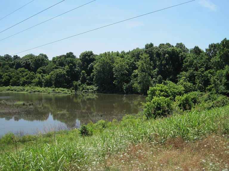 T. O. Fuller State Park — Memphis