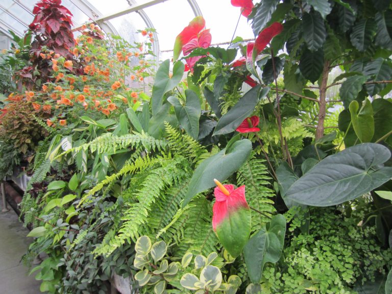 Volunteer Park Conservatory — Seattle