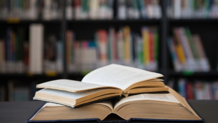 A Parent S Summer Reading Journey From Film To Fiction