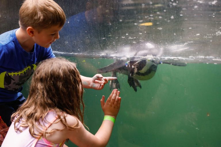 Akron Families Gather For Back To School Backpack Giveaway And Zoo Celebration