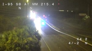 Alligator On I 95 Leads To Fatal Chain Reaction Crash In Brevard County