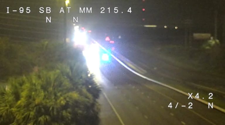 Alligator On I 95 Leads To Fatal Chain Reaction Crash In Brevard County