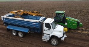 Alsum Farms Begins Wisconsin Potato Harvest