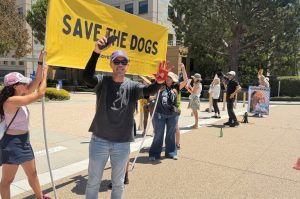 Amgen Protested Over Animal Research