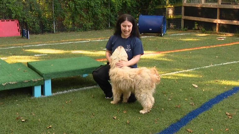 Animal Behaviorists Help Pets