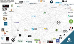 Animal Rights Groups Now Control Over 1 Billion Boosting Coordinated Attacks On