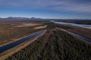 Arctic Researchers Observe Rapid Shrub Growth And Warming At Toolik Lake
