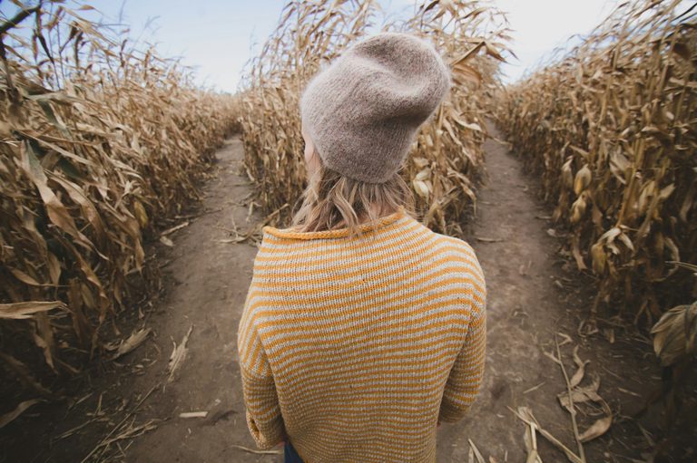 At L Do Farms Corn Maze Returns For 26Th Year In Lubbock