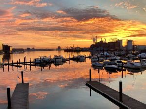 Baltimore Morning Update Mustang Loose Rotunda Security Boost Moody S Downgrade