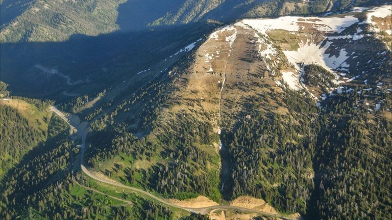 Bear Encounter Closes History Trail