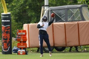 Bears Safety Out 4 6 Months