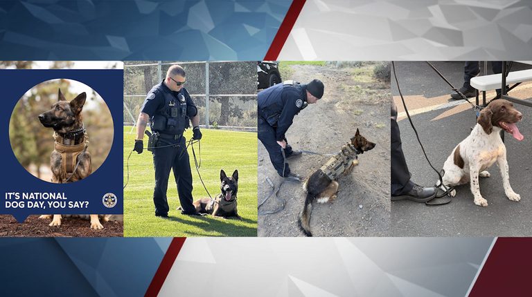 Bend Police Celebrate National Dog Day With Their K9 Unit
