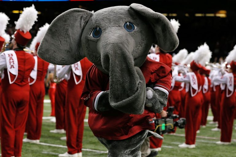 Big Al Meet And Greet Invites Tuscaloosa Families To Celebrate Crimson Tide Kick