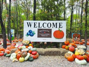 Blase Family Farm Pumpkin Patch Opens Sept 19
