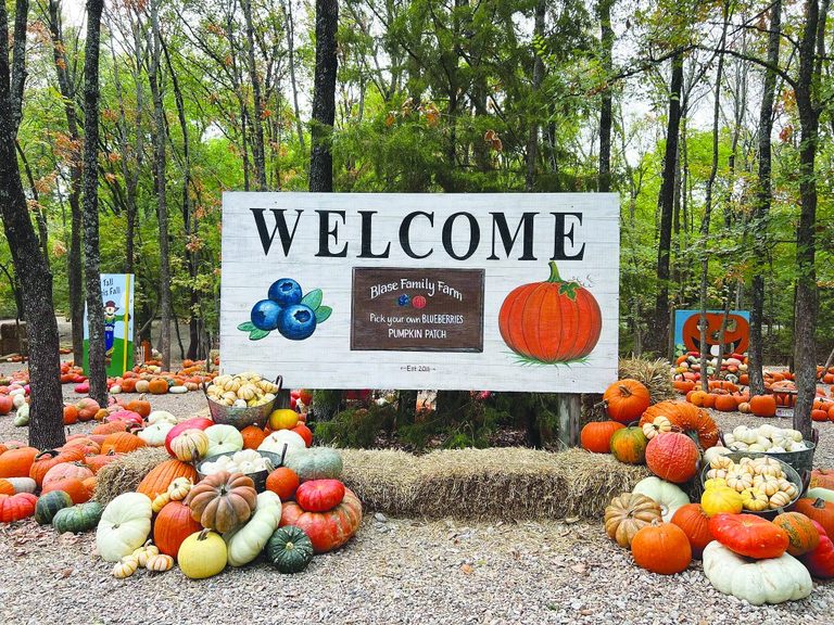 Blase Family Farm Pumpkin Patch Opens Sept 19