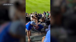 Bleacher Brawl Erupts Between Cubs And White Sox Fans At Wrigley Field