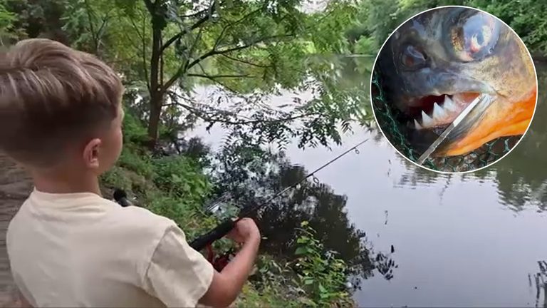 Boy Catches Piranha In Pa Lake