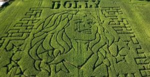 Brookfield Corn Maze Honors Dolly Parton While Supporting Children S Literacy