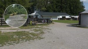 Brown County Animal Sanctuary Hit By Storm