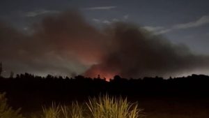 Brush Fire Burns In Sw Miami Dade