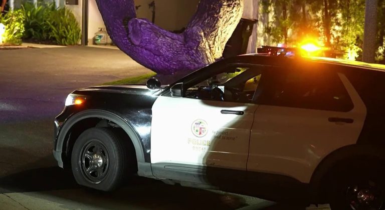 Burglars Cut Power And Steal 1 000 Belt From Home On Northford Drive In Tujunga