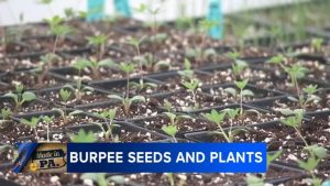 Burpee Celebrates 150 Years