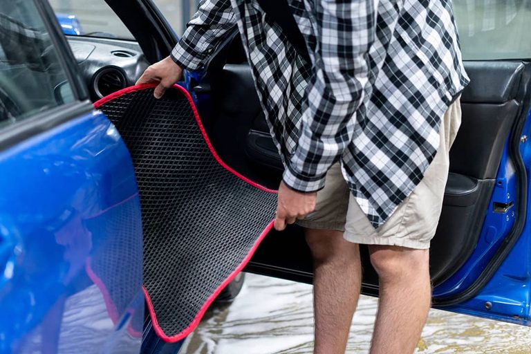 Can Bed Bugs Take Up Residence In Your Vehicle