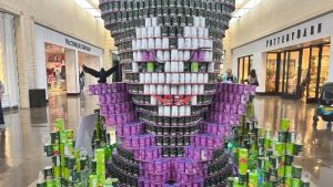 Canstruction Dallas Turns Cans Into Art To Fight Hunger At Northpark