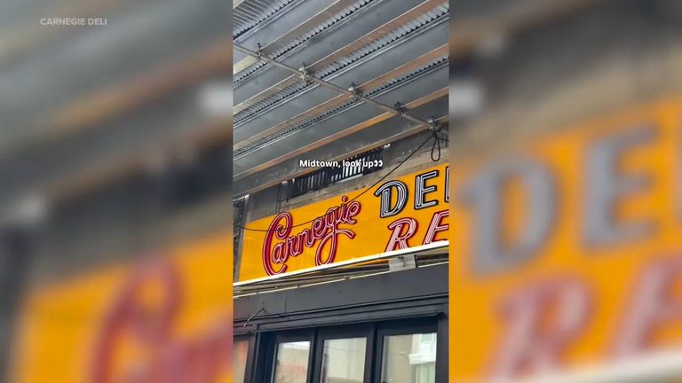 Carnegie Deli Hints At Midtown Manhattan Comeback