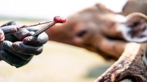 Casper Office Offers Cwd Training