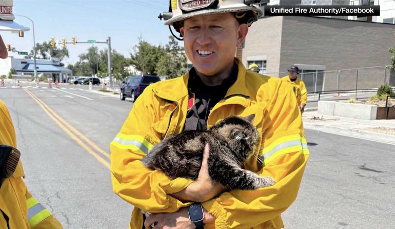 Cat Survives Fire Reunited With Family