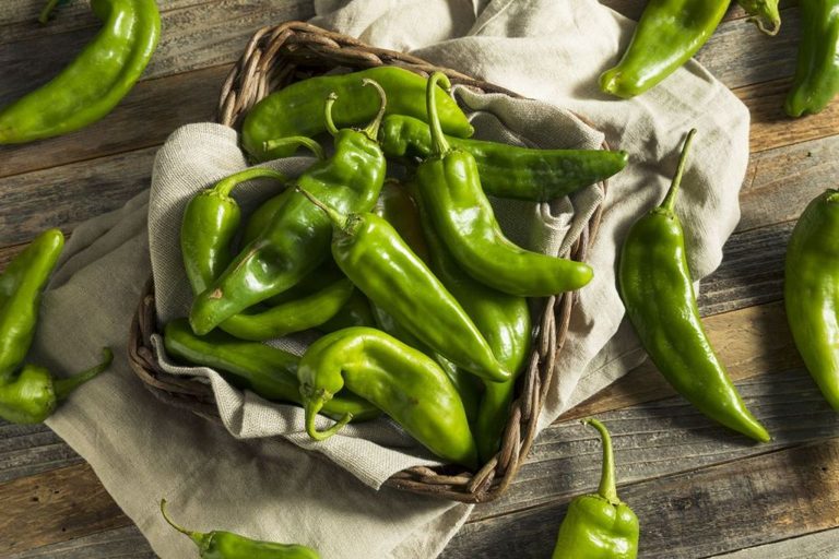 Central Market S Hatch Chile Festival