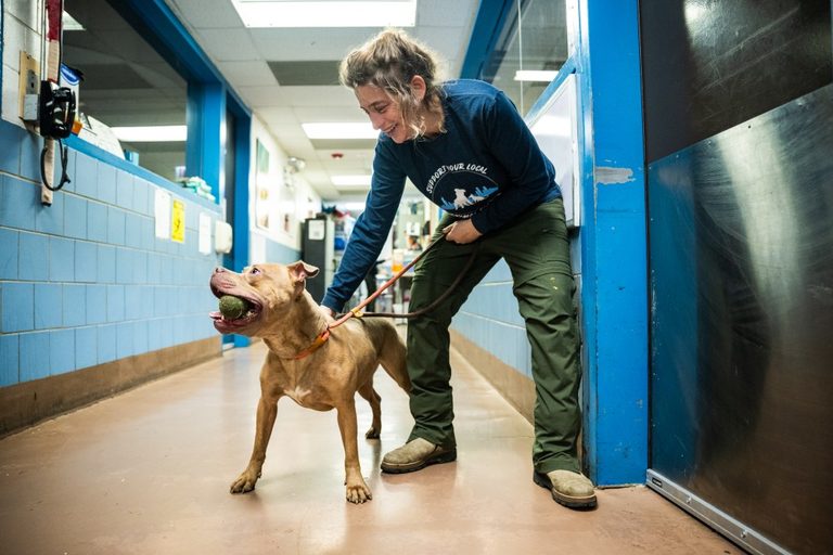 Chicago Animal Care Hosts Care Water Show