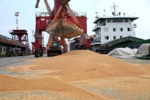 China Buys Us Soybeans