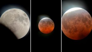 Cincinnati Astronomer Shares Stunning Photos Of Near Total Lunar Eclipse