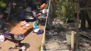 City Crews Begin Cleanup Of Hazardous Studio City Lot Amid Mayoral Race Dispute
