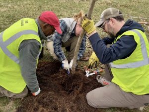 Cleveland Tree Steward Training