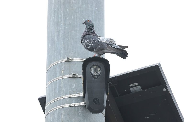 Cyclists Ride To Monument Circle To Call For Removal Of Flock Surveillance Camer