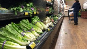 Cyclospora Infections Appear To Decline As Lettuce Recall Takes Effect