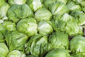 Cyclosporiasis Outbreak Linked To Lettuce Spreads To 15 States