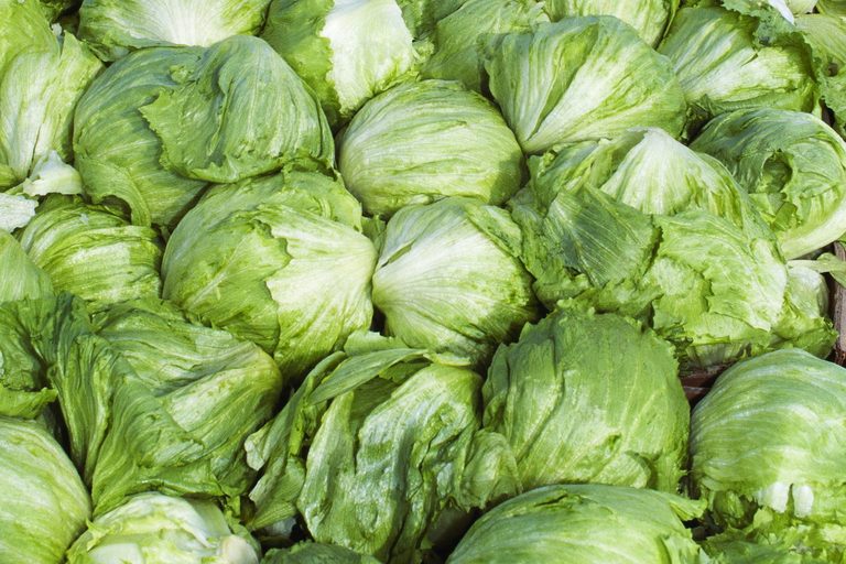 Cyclosporiasis Outbreak Linked To Lettuce Spreads