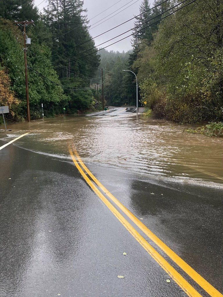 Daleville Farm Faces Thousands In Losses After Historic Flooding