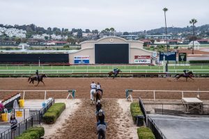 Del Mar Fairgrounds Board Terminates Affordable Housing Agreement