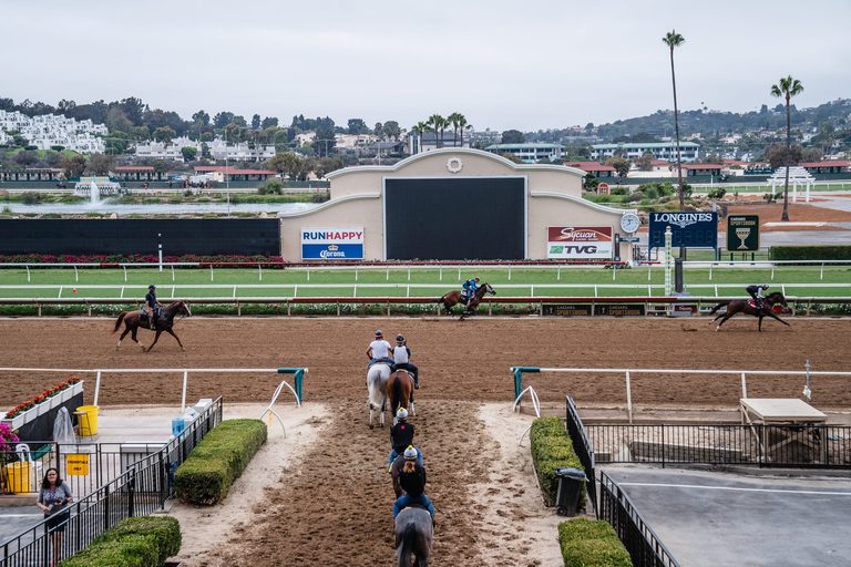 Del Mar Fairgrounds Board Terminates Affordable Housing Agreement