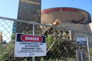 Demolition Of New Haven S Sports Haven Building Delayed Until Early Next Week
