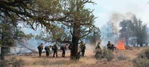 Deschutes National Forest Reopens Akawa Butte Fire Area Warns Visitors Of Hazard