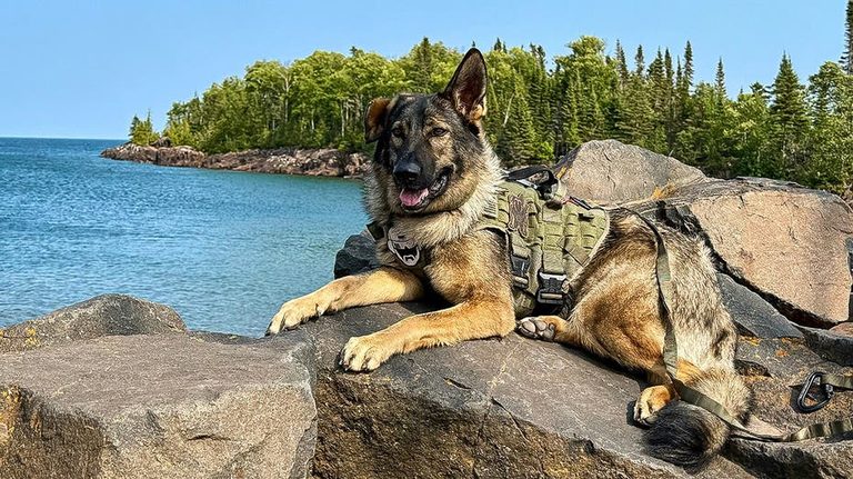 Dog Friendly Road Trip Highlights On Minnesota S North Shore