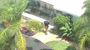 Dog Owner Fatally Shoots Attacking Dog